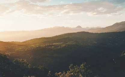 project_overview_img